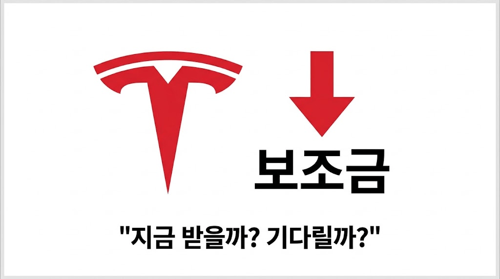 전기차 보조금 개편
테슬라 보조금 포기하고 받을까?